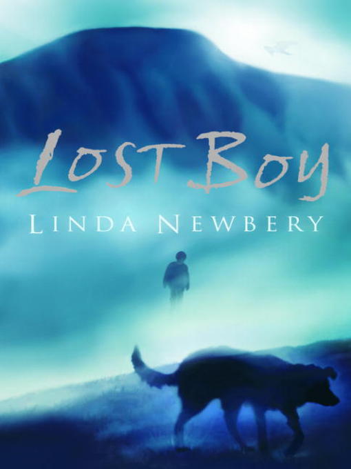 Title details for Lost Boy by Linda Newbery - Available